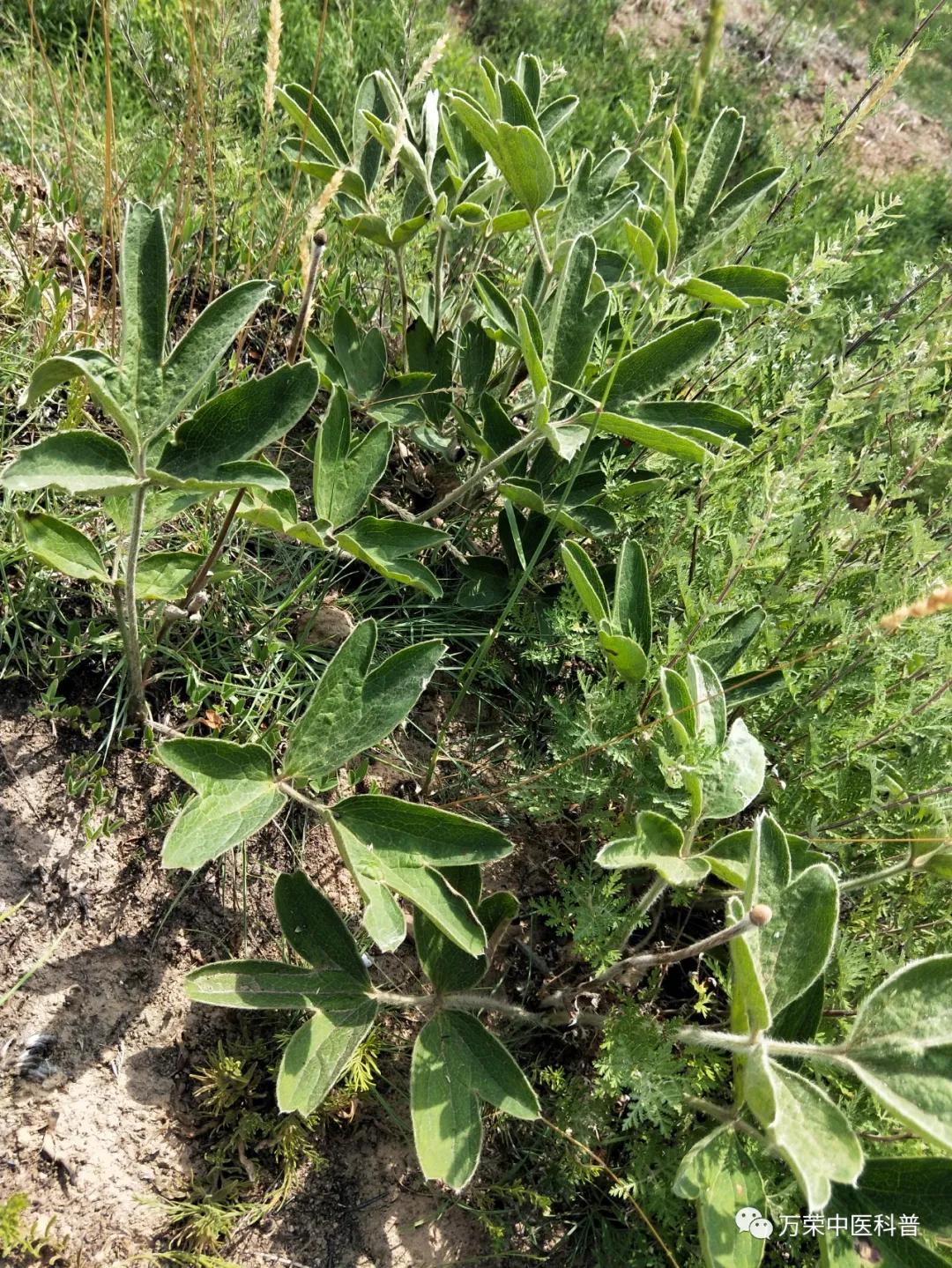 跟我回家在线免费看,跟我回家免费看