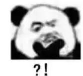 景甜倪妮同台2019年,倪妮景甜最新消息