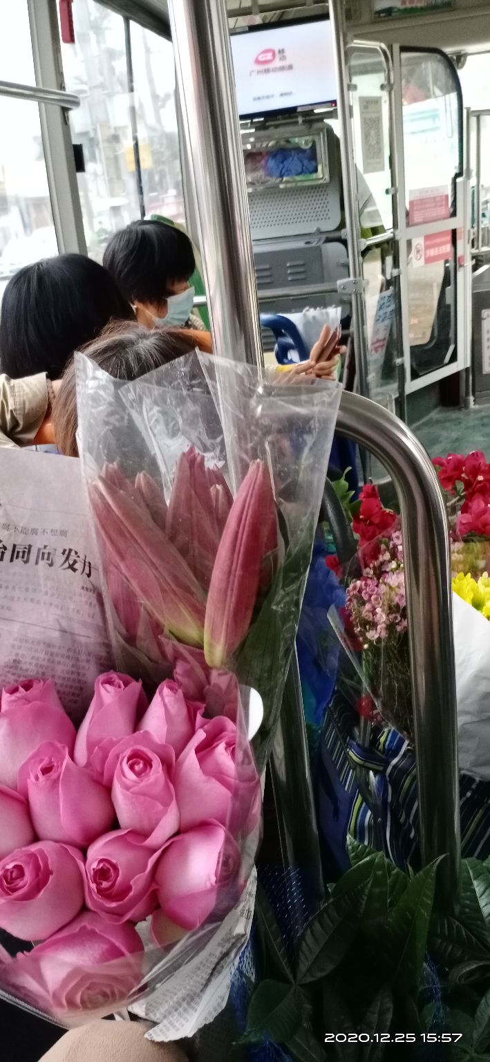 花都区岭南花卉批发市场在哪里,广州岭南花卉市场批发攻略