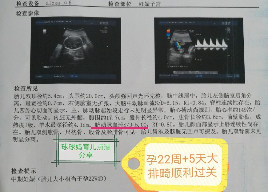 最简单的孕期报告单整理,孕期产检报告单怎么整理