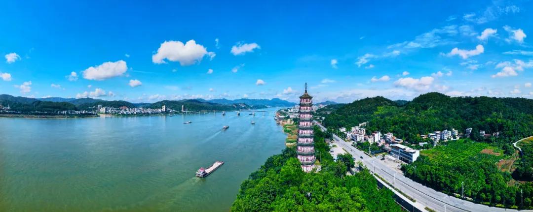 璧拌繘鑲囧簡,璧拌繘鑲囧簡浜嗚В鑲囧簡