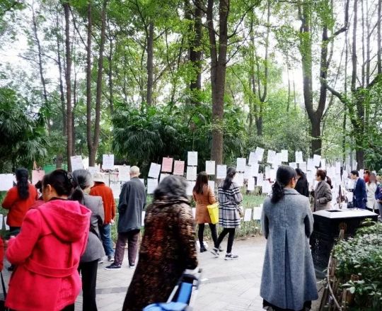 防骗悬疑剧《猎心者》热播中，中老年人更需要提高防骗意识！