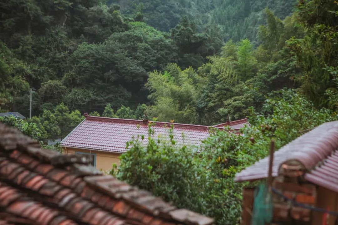 金华小九寨风景区,小九寨原始森林半日游