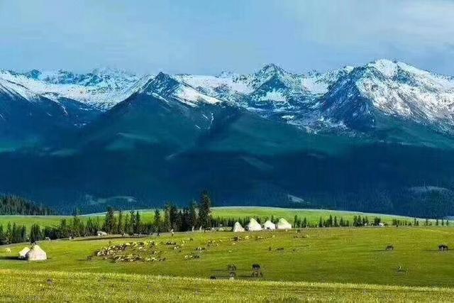 新疆8晚7天游路线推荐,环游北疆旅行团