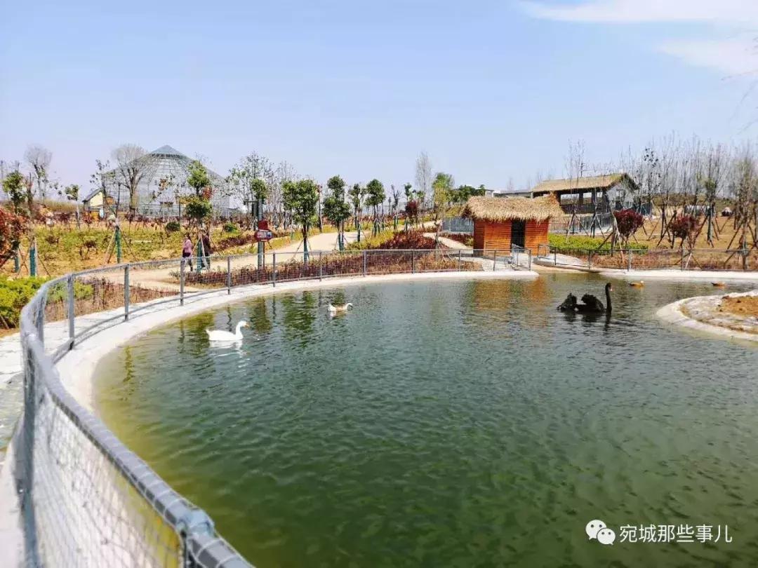 南阳老徐,河南南阳老徐最新视频