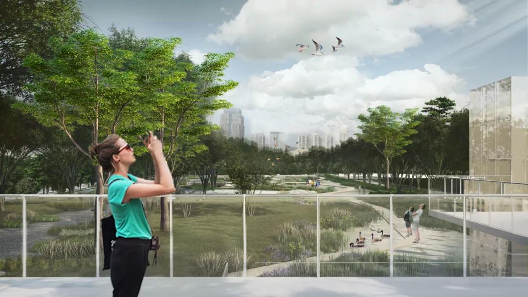 绾㈡爲鏋楁箍鍦板崥鐗╅,娣卞湷绾㈡爲鏋楁箍鍦板崥鐗╅浣嶇疆