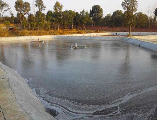 中国人每天排粪便多少吨,中国人每天能排多少粪便