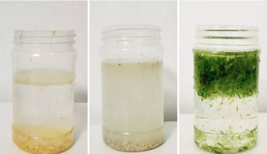 餐厨垃圾处理器商用,食堂餐厨垃圾处理器使用说明