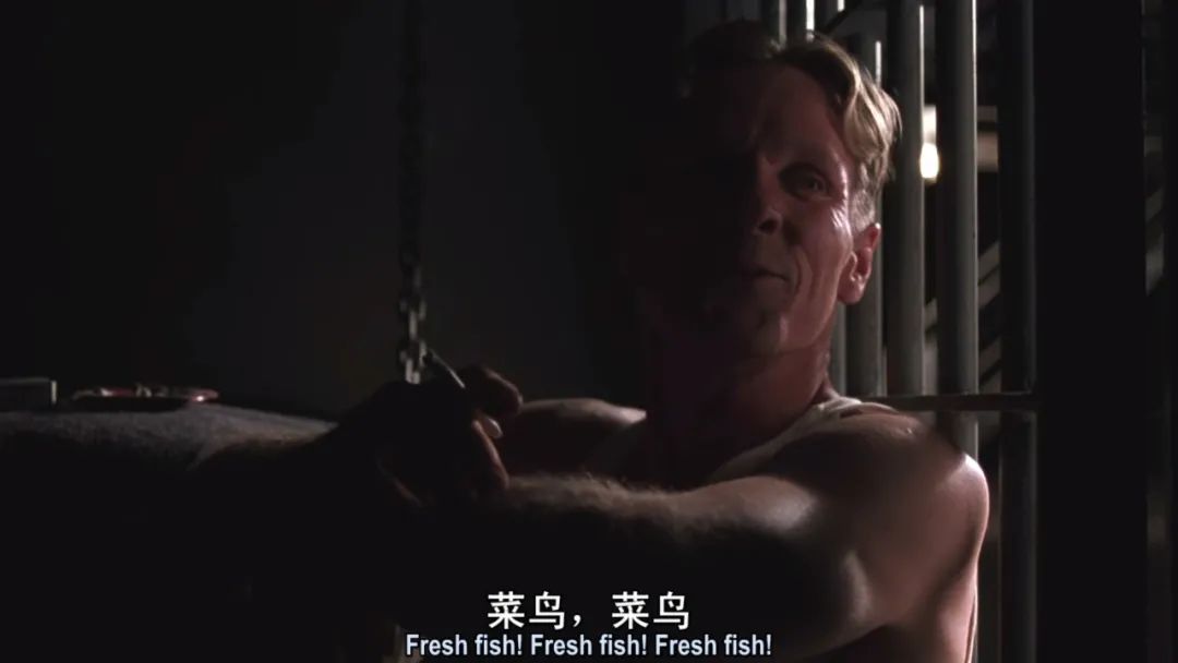 最好的一部电影被所有人低估了,最难超越的五部电影