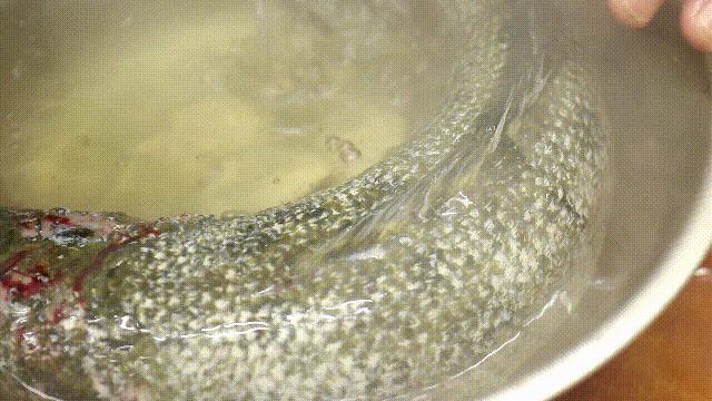 生鱼片鲜滑肥美但是这样吃才健康,比生鱼片还好吃的鱼生