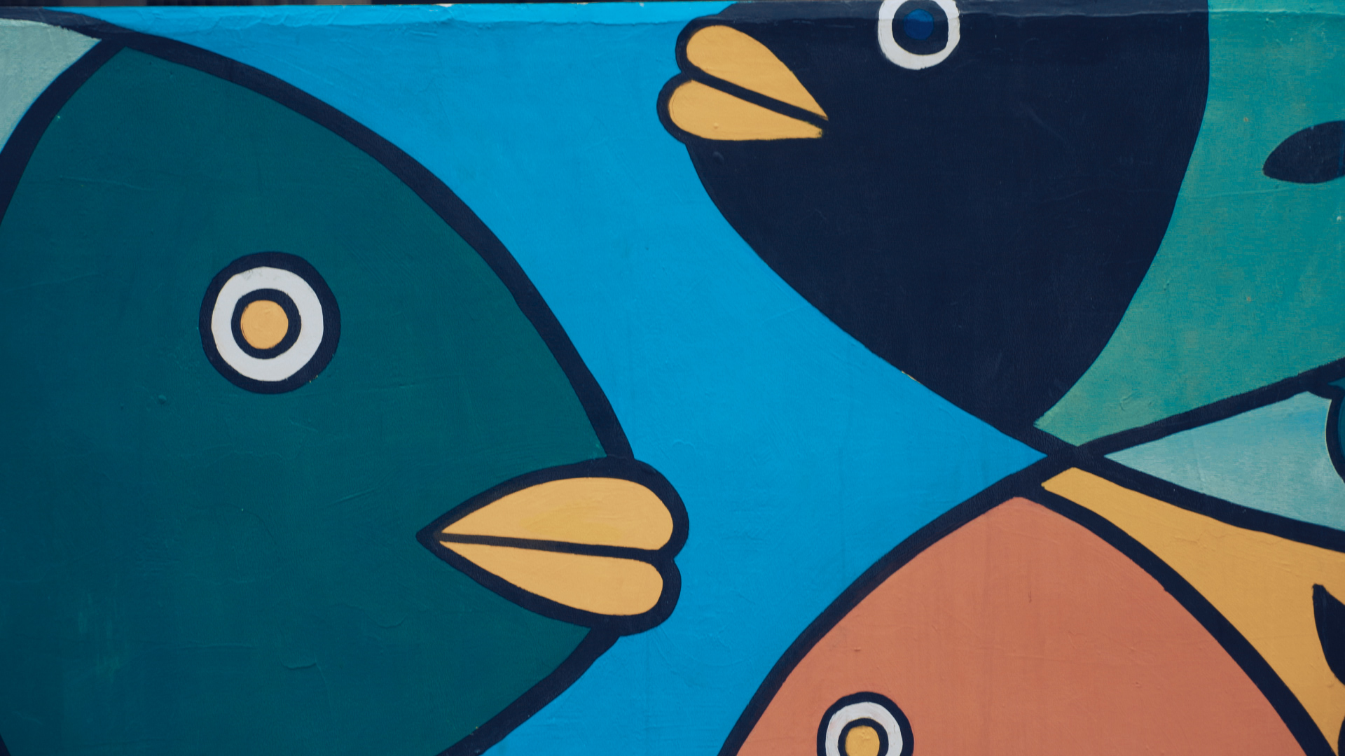 浙江嵊泗列岛三日游,嵊泗四日游旅游攻略