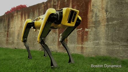 50万一只的波士顿机器狗,中国购买的波士顿机器狗