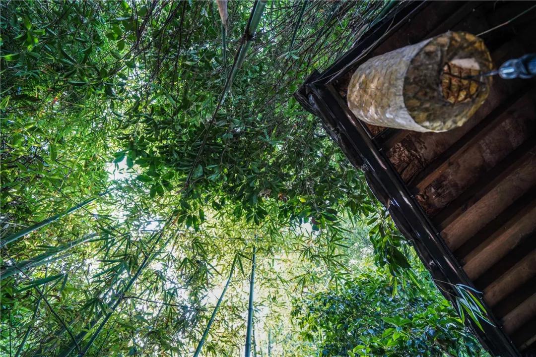 周庄古镇东浜客栈民宿,周庄古镇别苑精品客栈