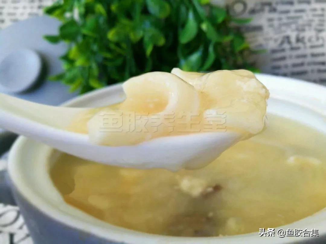 100种鱼胶煲汤配方,花胶鱼胶的做法简单又好吃
