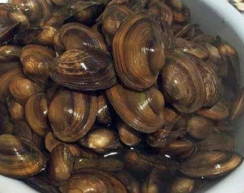 邵阳的十大首富,邵阳的十大女明星