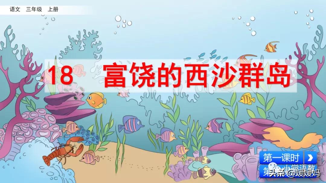 三年级第18课富饶的西沙群岛视频,三年级上册18富饶的西沙群岛笔记