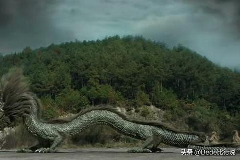 坠龙事件的龙是什么,近几年有发现龙存在吗