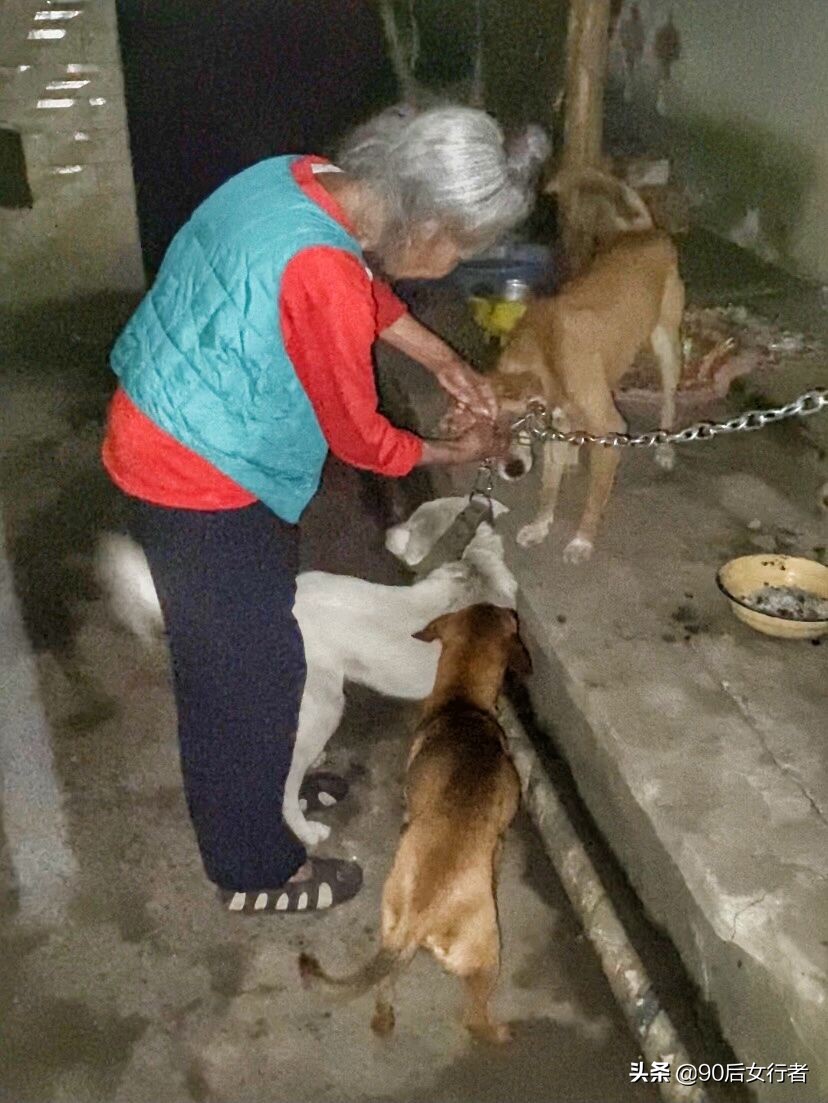 永兴宫道长,老道长独居道观