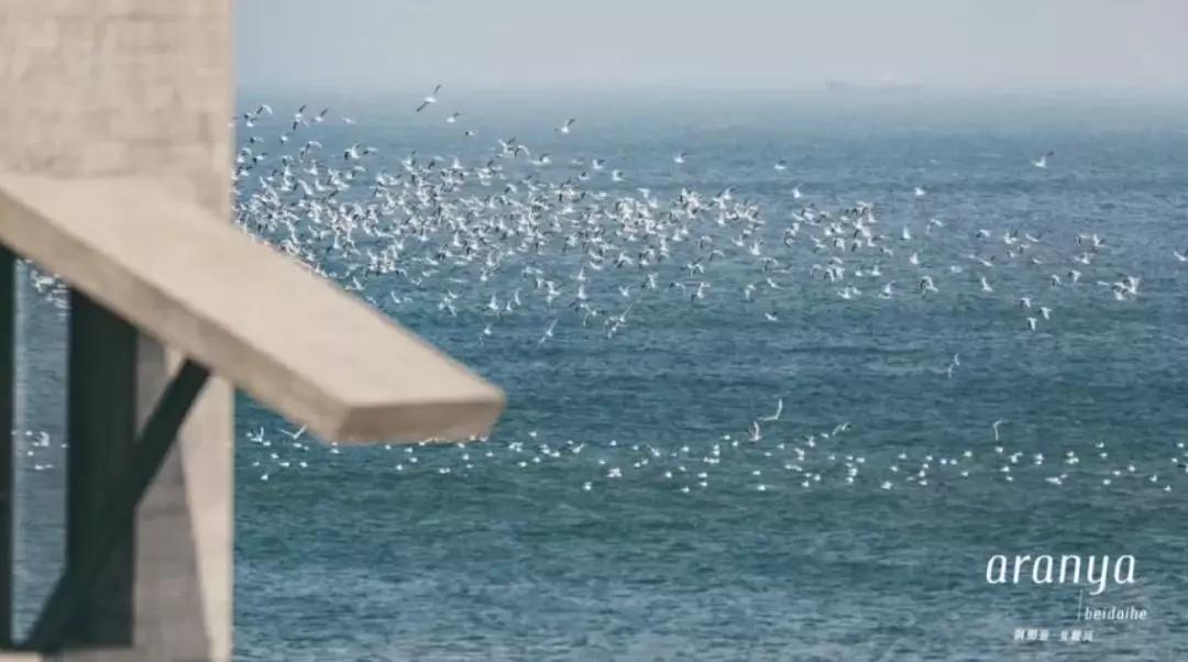 阿那亚|作为一个南方人，我差点错过北方这个的神仙度假地