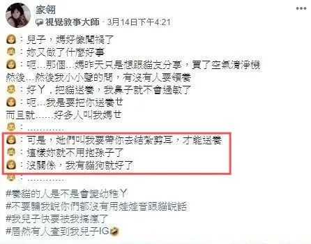 养猫后儿子鼻过敏，妈妈心生一计：不如你搬出去住吧！