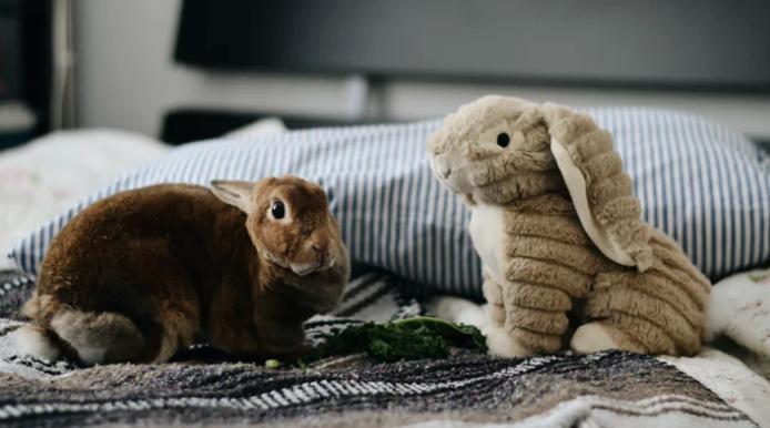 膜性肾病流行病学,膜性肾病的最新研究