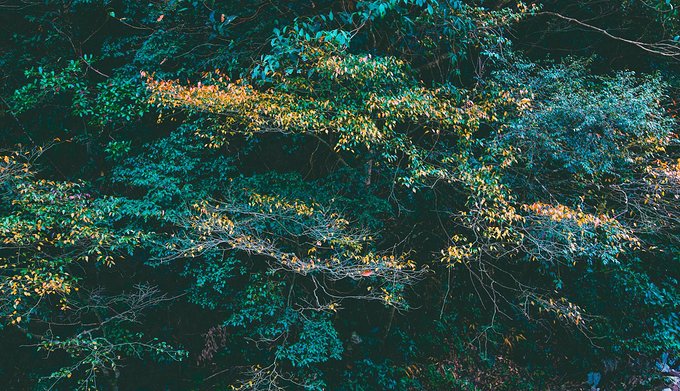 一起游玩泰顺,小众旅游泰顺