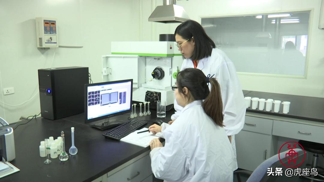 车间里来了女博士，爱科研还爱大排档