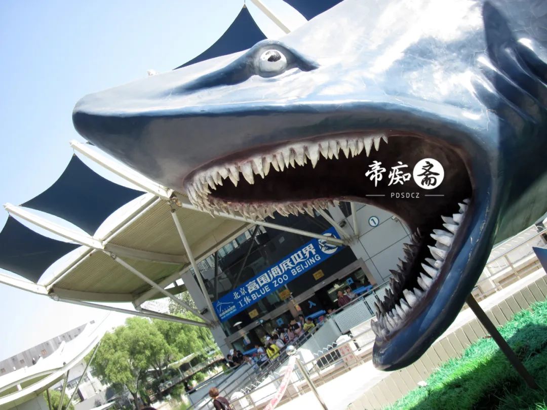 海底世界大比拼,海底世界大战