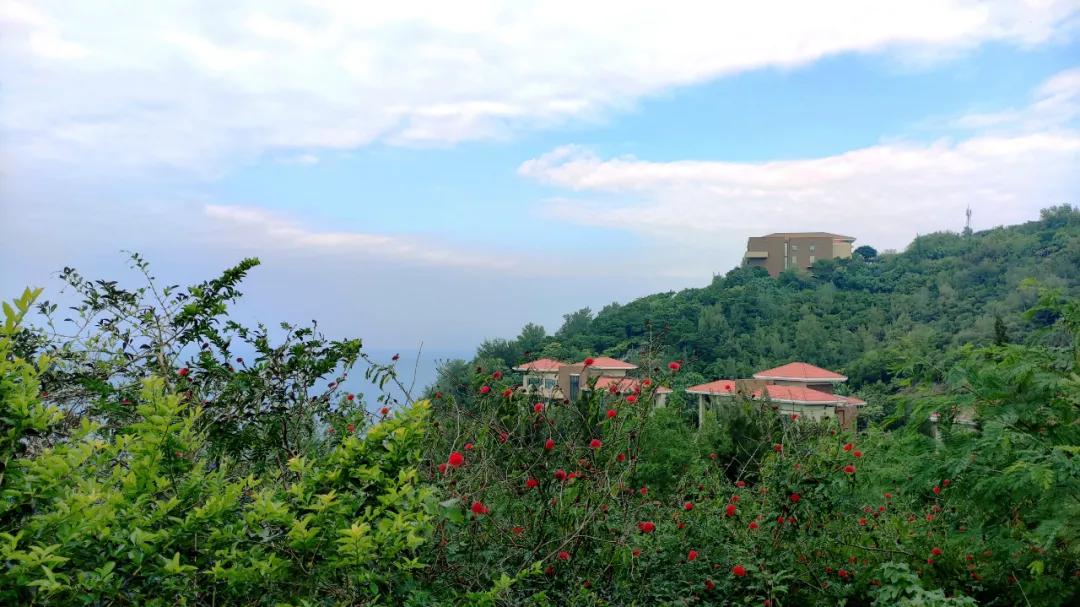 北海除了海边还有什么风景,北海除了银滩还有哪个海滩