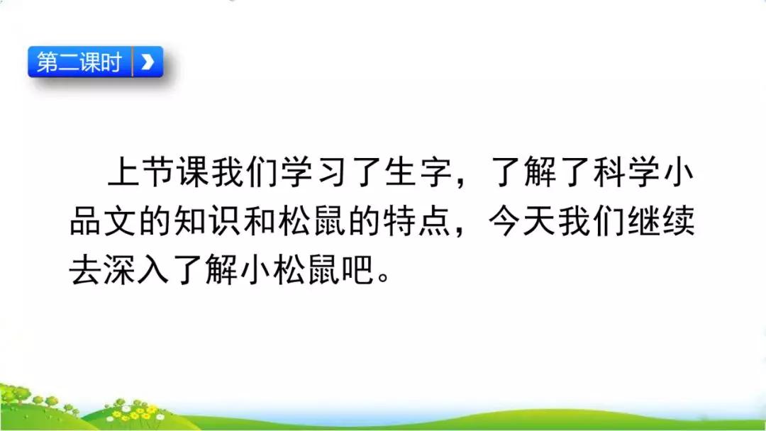 五年级语文第17课松鼠讲解,五年级上册第17课松鼠教材详解