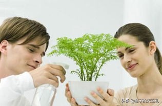 什么叫激素补充治疗,40岁女性怎样补充雌性激素