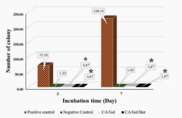 醋酸纤维医用抗粘敷料,纳米纤维伤口敷料