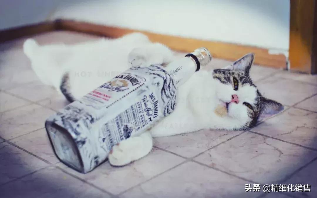 做销售一定要喝酒吗？|关于销售与喝酒的3个问题及6个解决方法