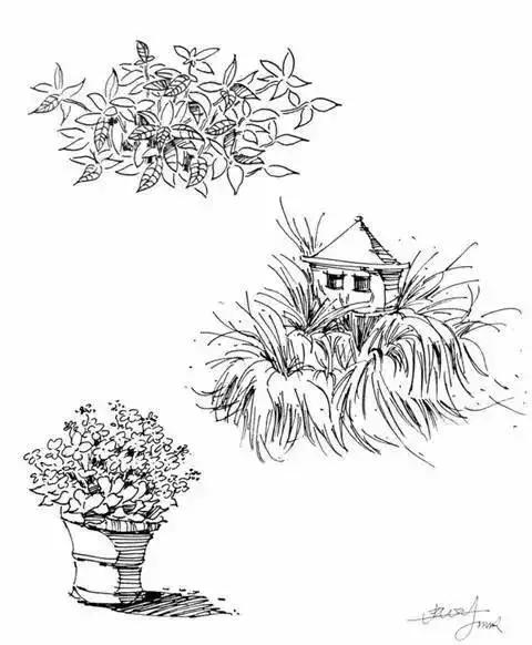 风景速写|超简单树木画法，简单易学，快来临摹学习