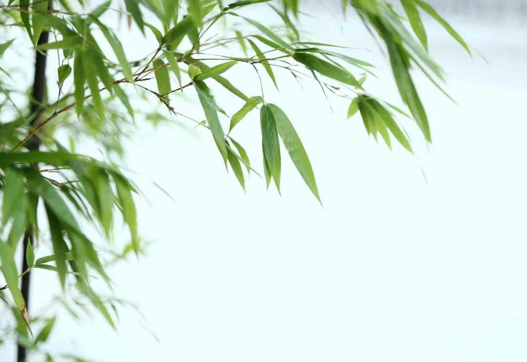 摩西十诫和佛教五戒,佛教犯了五戒怎么办