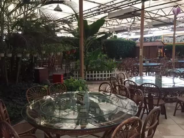 乡村旅游生态园农家乐,市区300亩的休闲农庄