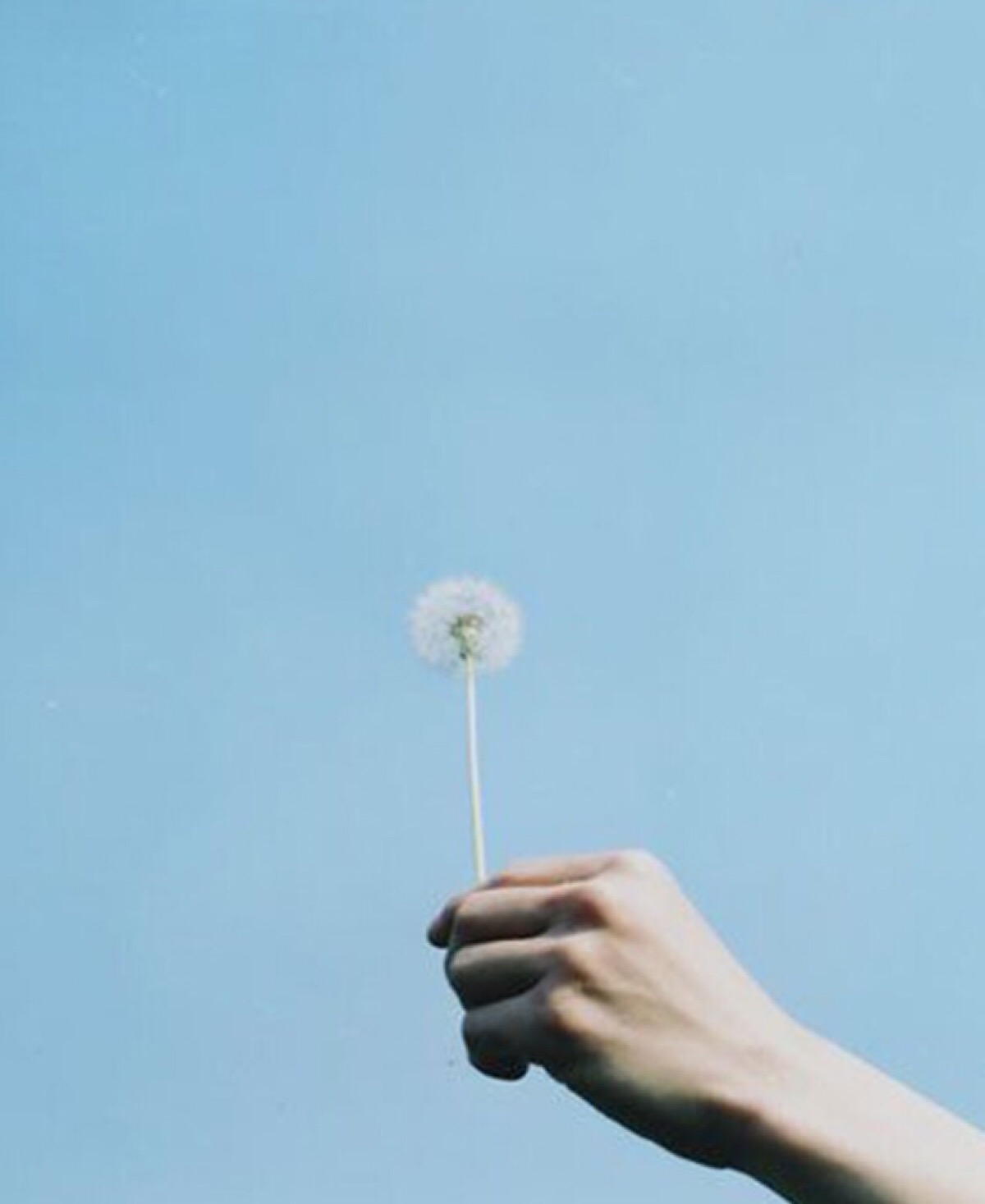 刘同怎么面对生活中的创伤,刘同现在是做什么的