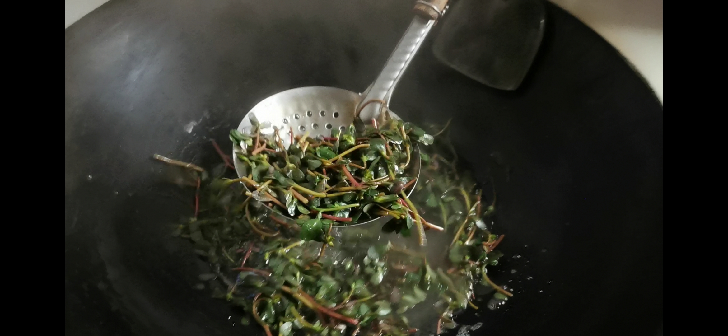 野菜马齿苋怎么做才好吃,干马齿苋怎么做最好吃又简单