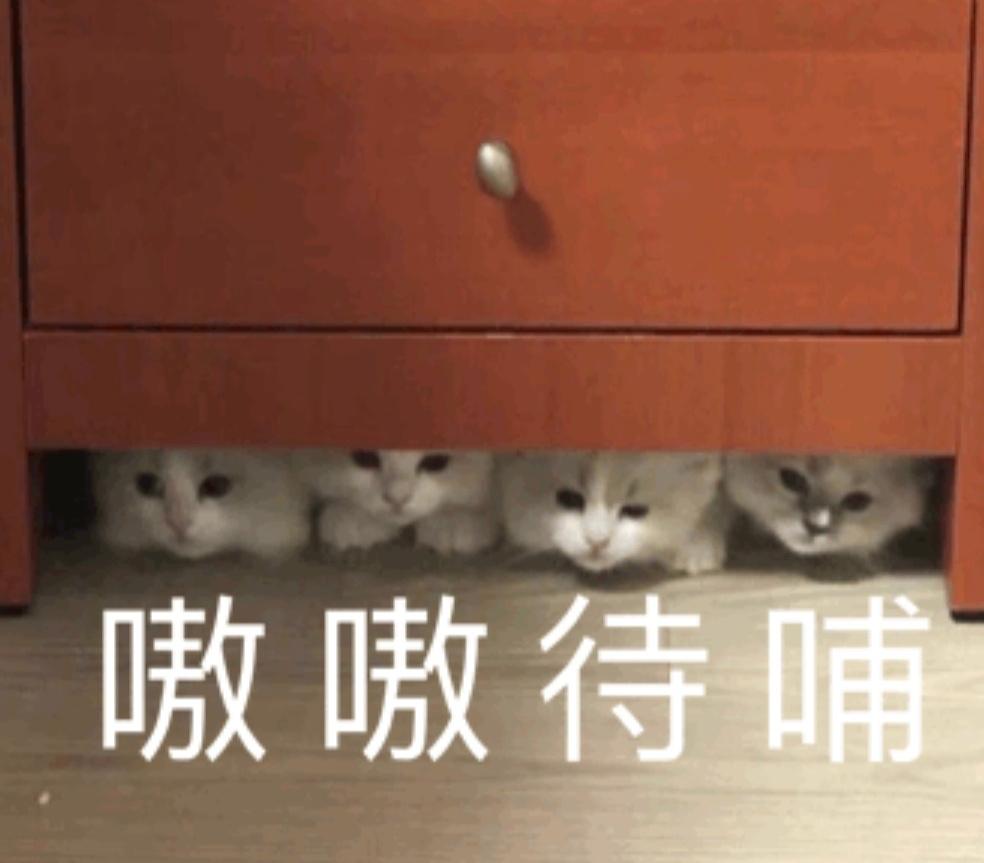 中国女孩，早就人手一件LV？