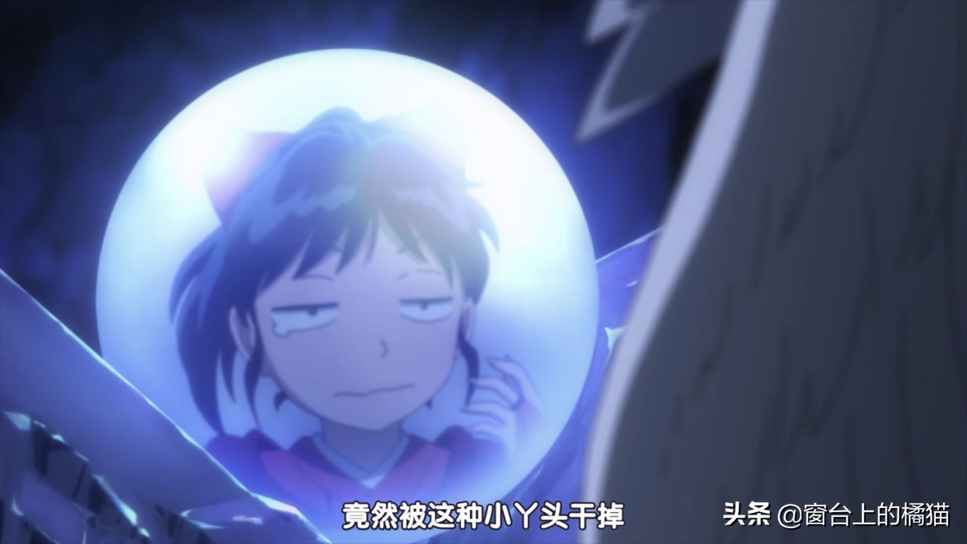 犬夜叉半妖的夜叉姬剧情介绍,犬夜叉后传大结局