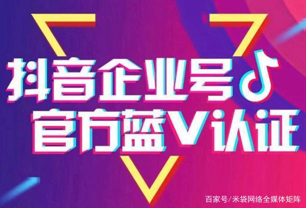 互联网创业项目加盟平台有哪些,大学生互联网创业项目计划书