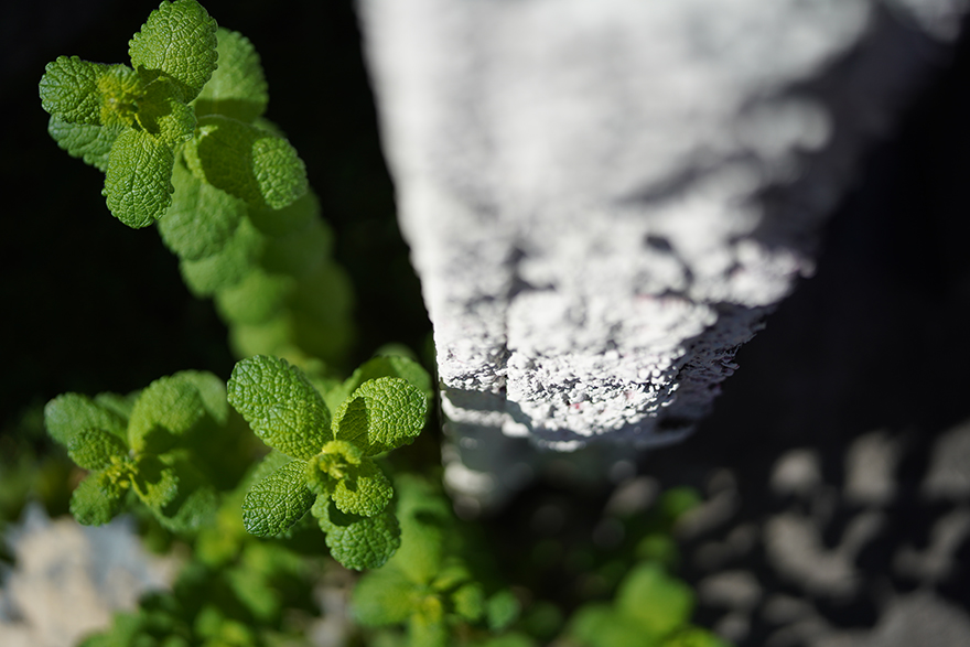 福伦达apolantahr50,福伦达50mmf1.0索尼e卡口