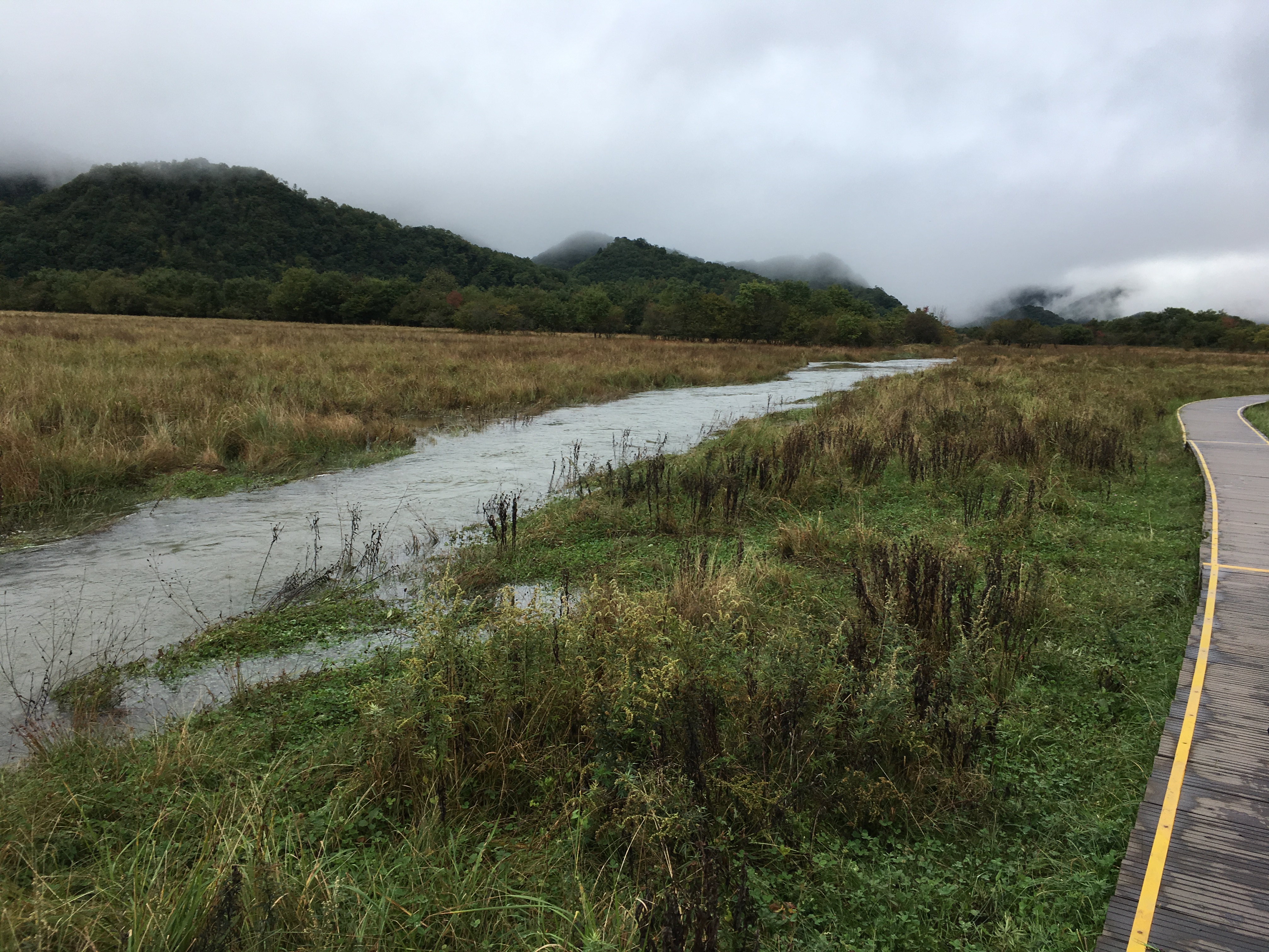 雨中神农架探秘之旅｜国庆节武汉至神农架自驾游攻略分享