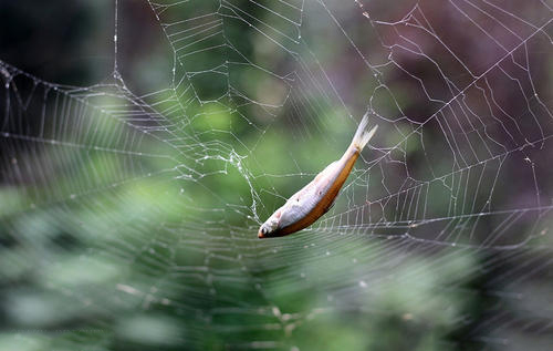 为什么要把自己活得这么累,我的人生为什么这么累