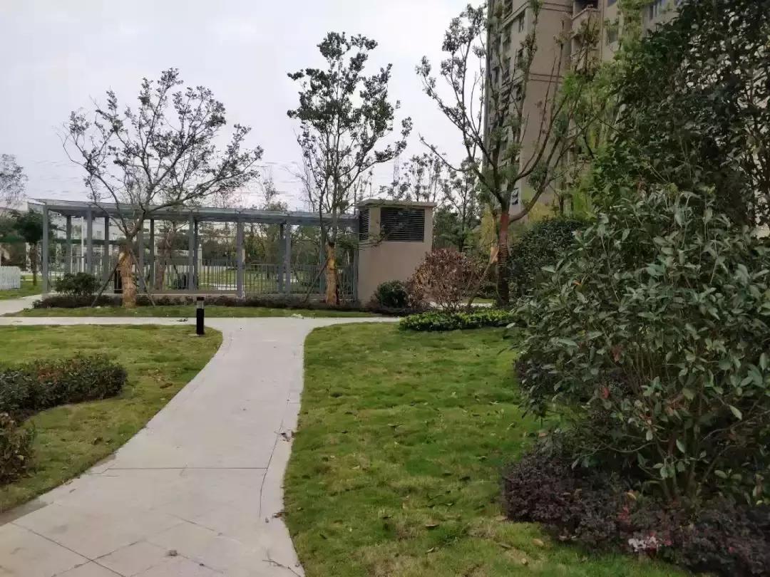 沪苏气质丨区域10月工程质量前五强匠心风采