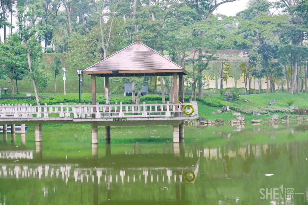 深圳八大绝美公园,山水公园深圳