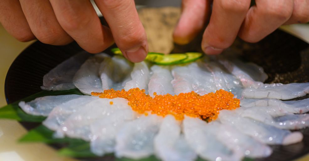 鱼儿食欲怎么样,鱼儿是怎么吃东西