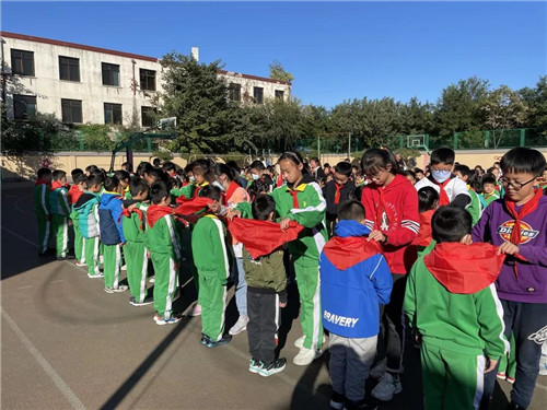 小学请党放心强国有我班会活动,小学请党放心强国有我活动方案