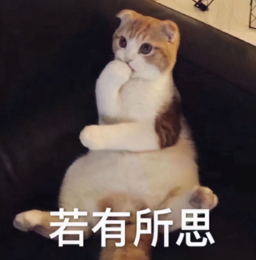 为什么明星都在成都开餐饮,明星火锅扎堆成都