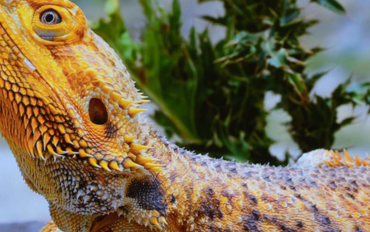 高光“亮”眼！4K画质拉满，超Max体验，科技博主：回不去了